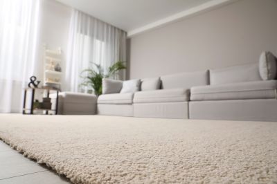 Comfortable Carpet Options